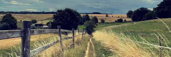 Mahsashabani Profile Banner