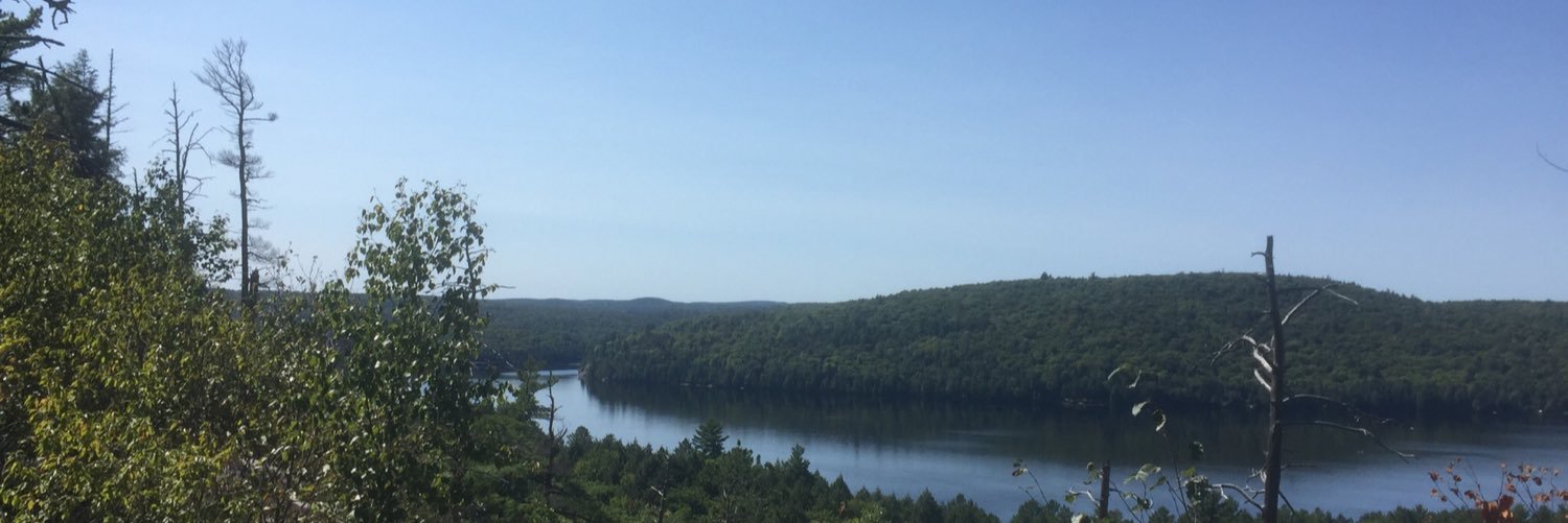 Gareth Davies banner