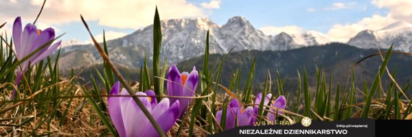 24tp_pl Profile Banner