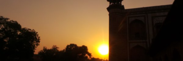 edrwigi Profile Banner