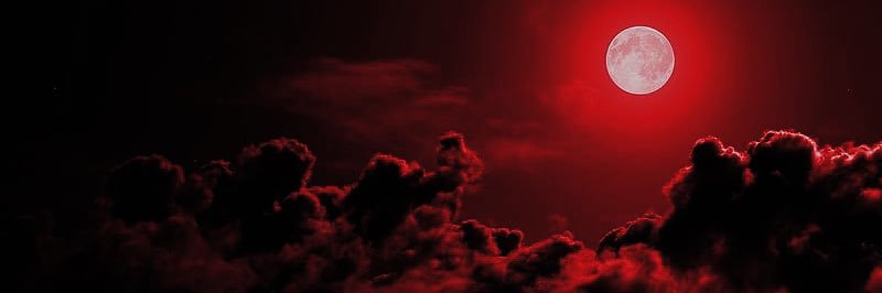 Hell’s Angel (NOT @blakemonroewwe) banner