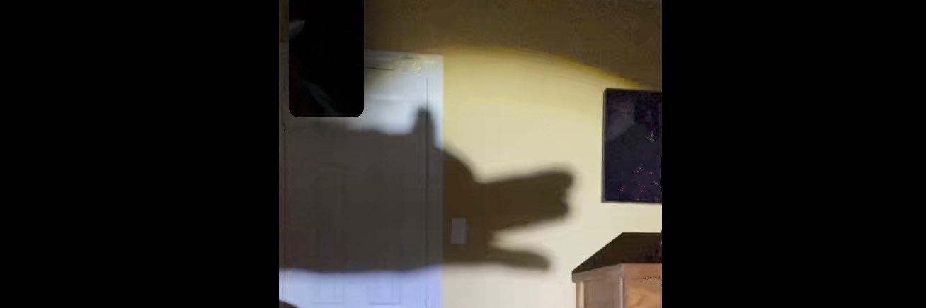 C_LMe10's profile banner image