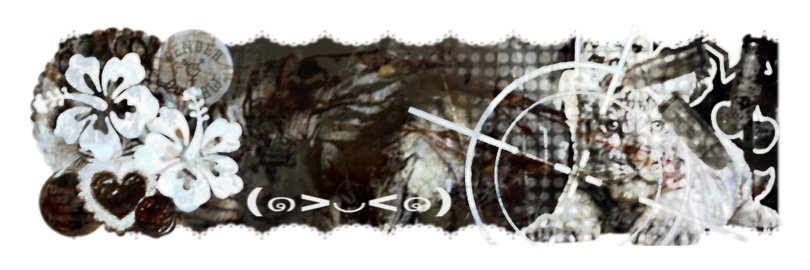 插翅虎ᴄʜᴀᴄʜɪʜᴜ || banner