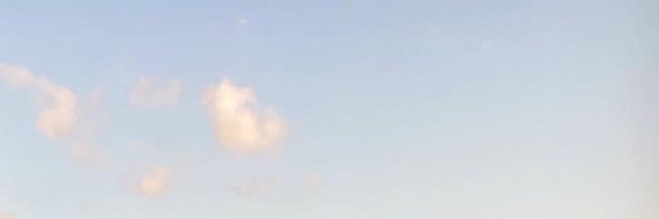 curtis1_chase's profile banner image