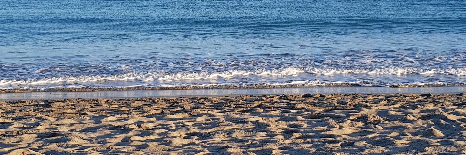 Rodri Castillo banner