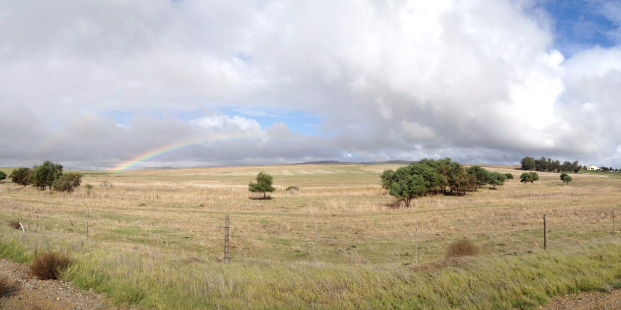 Clinton Heimann banner