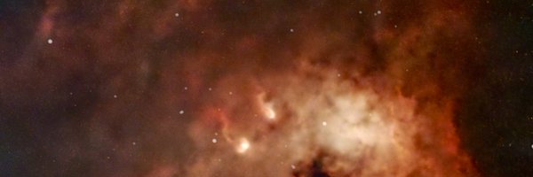 neilsleat Profile Banner