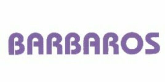 BarbarosHair's profile banner image