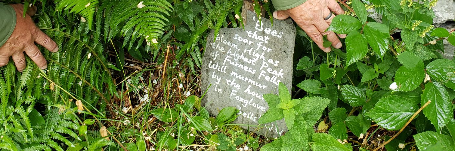 fran mcdaniel banner