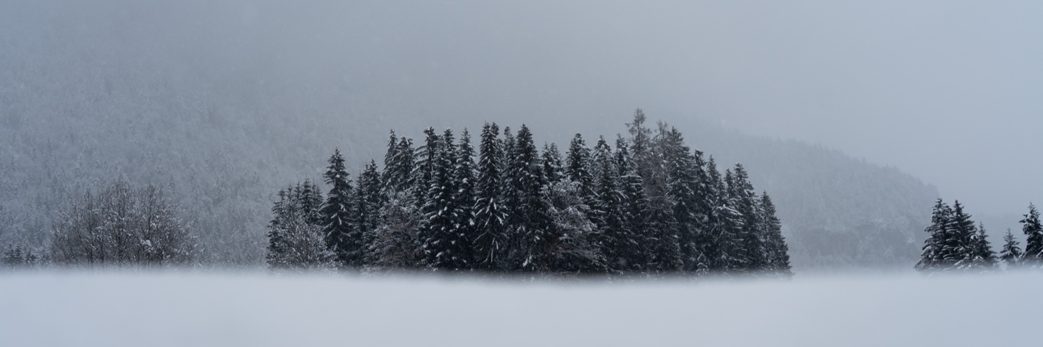 VinceFxBT's profile banner image