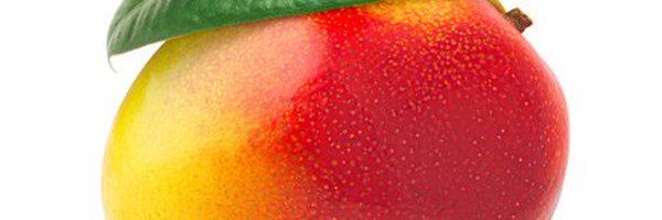 Mango_FGC Profile Banner