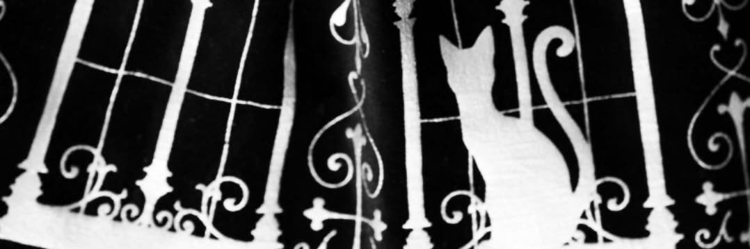 𓊆︎✚𓊇 banner