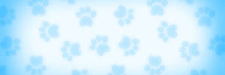 zi ♬ ⋆ .˚ banner