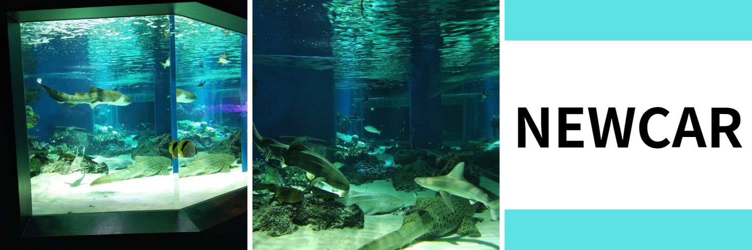 スパインフット banner