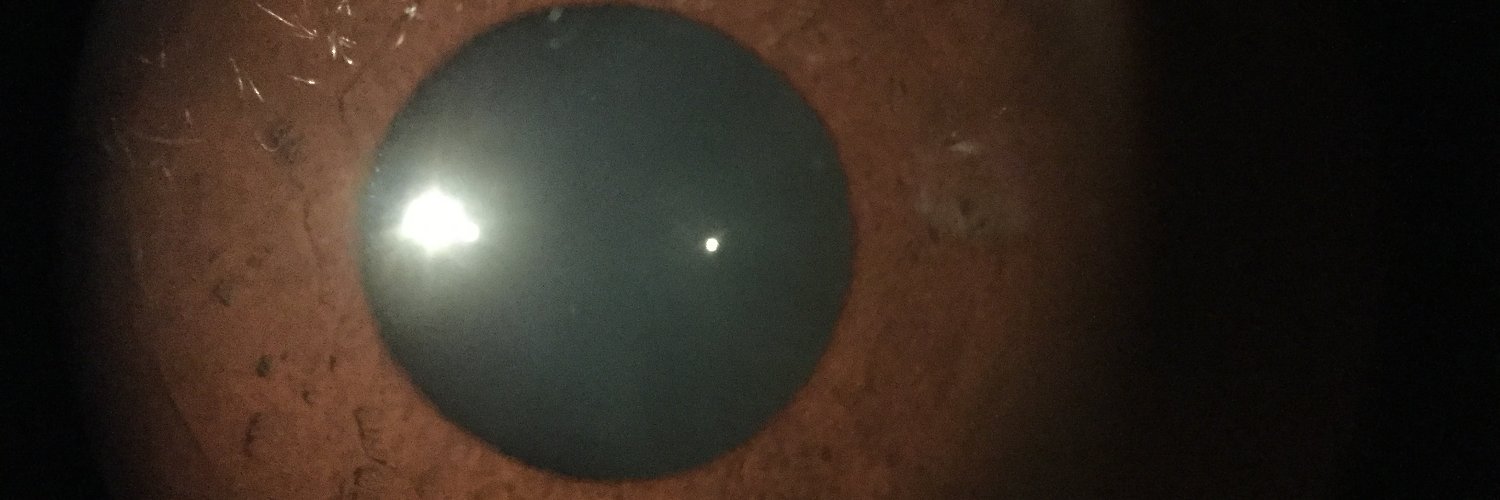 tiarathomas02's profile banner image