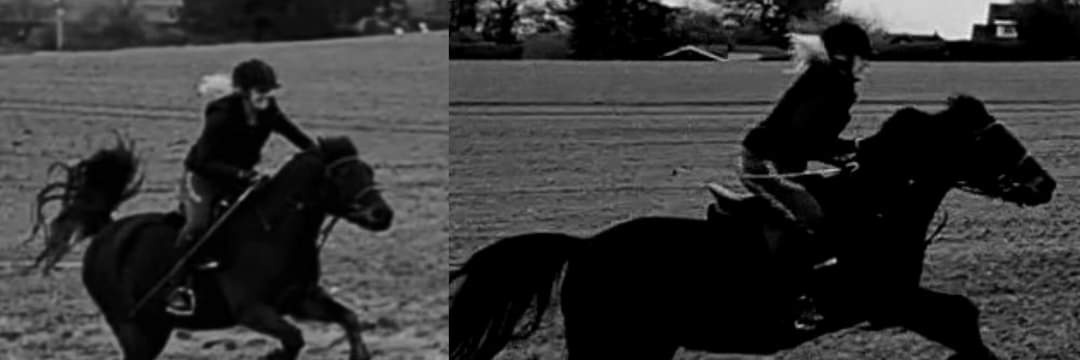 AllyTucker's profile banner image