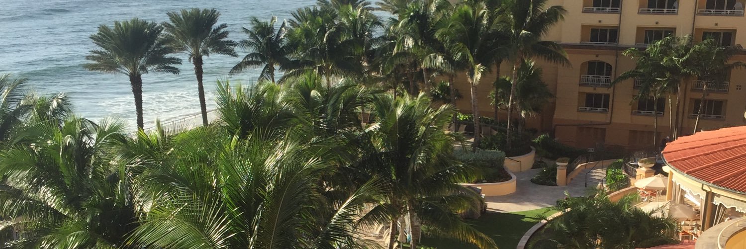 Sally Maurice banner