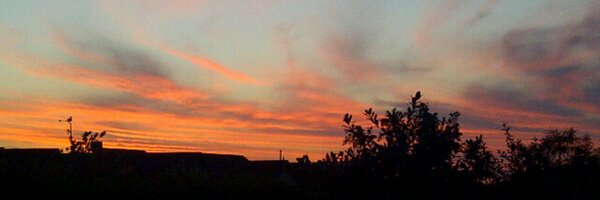 101SCC Profile Banner