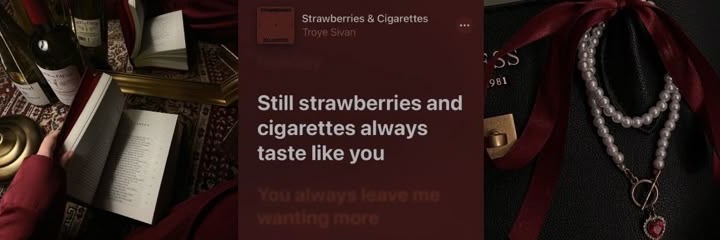 meixrys's profile banner image