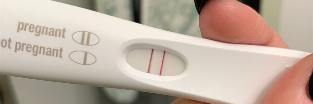 Breeding Babes banner