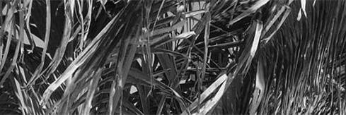 jtky425's profile banner image