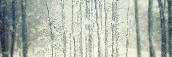 LeaRoure's profile banner image