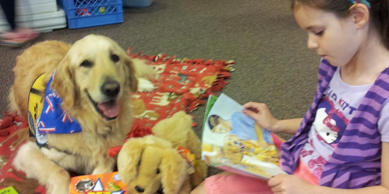 KPETS Konnections banner