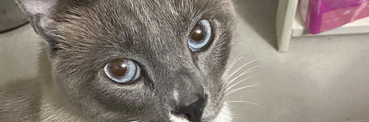 AntooPeri's profile banner image