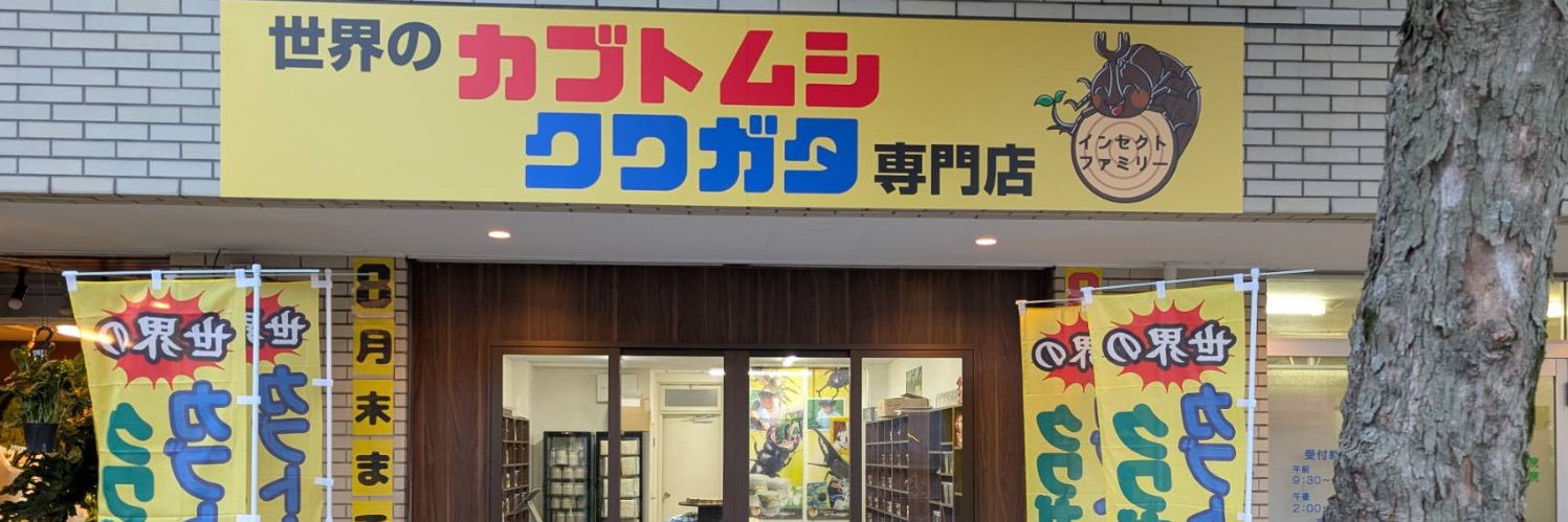 入荷情報@インセクトファミリー banner
