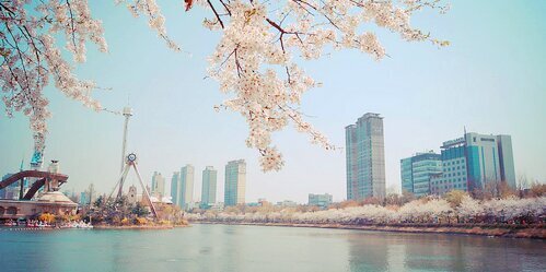 CrazyPromote's profile banner image