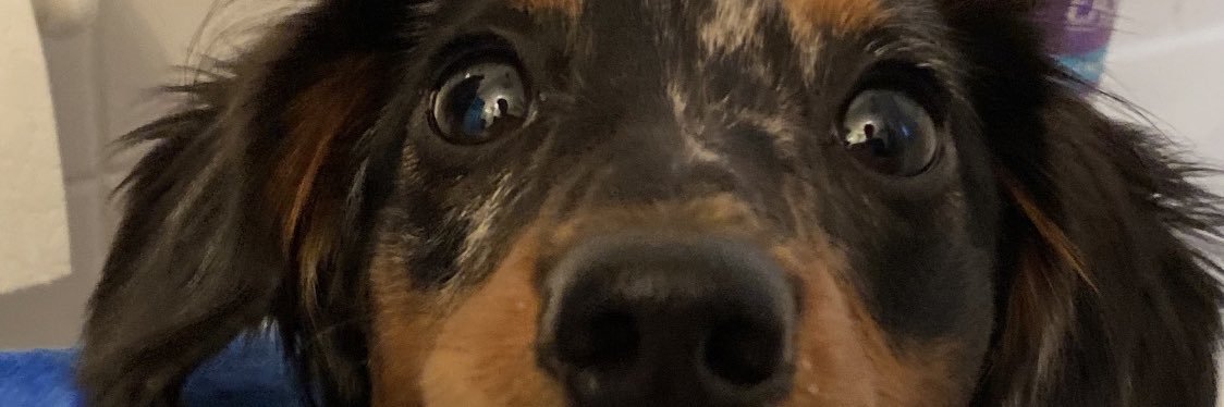 HalamaDerek's profile banner image