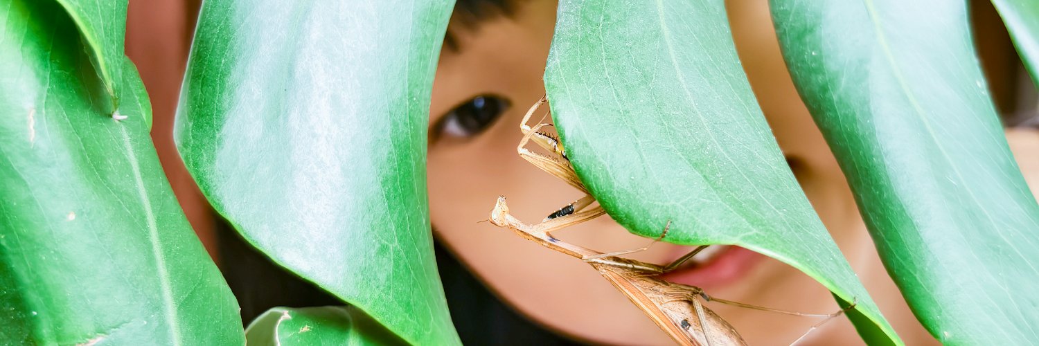 Getty Images VisualGPS banner