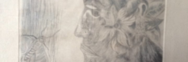 amandapaezm's profile banner image
