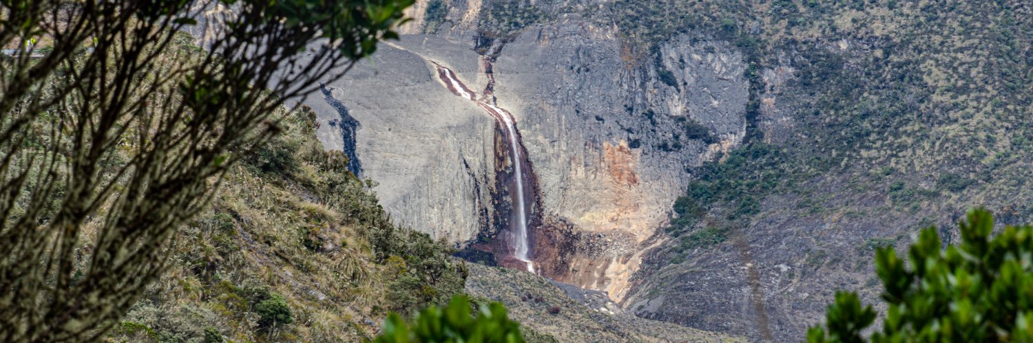 Mario Cerón Charry banner