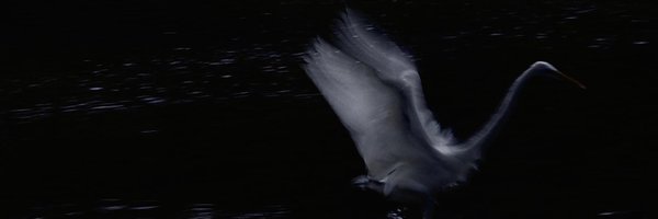 _things170ve Profile Banner