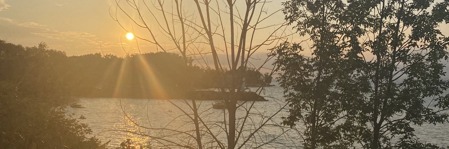 stfujala's profile banner image