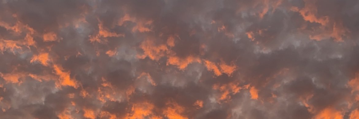 emilygorlick's profile banner image