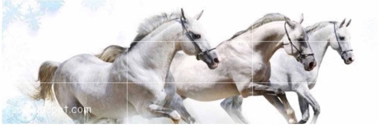 🐎عاشقة الخيل🐎 Profile Banner