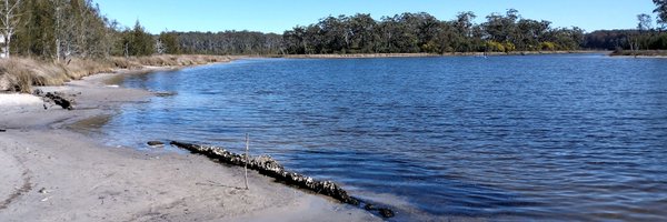 stonehand113 Profile Banner