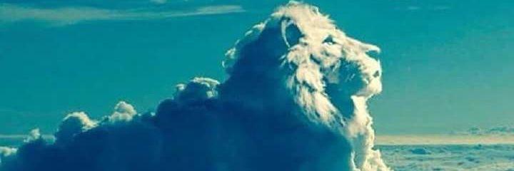 Anderson_r01's profile banner image