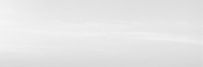 白柳. banner