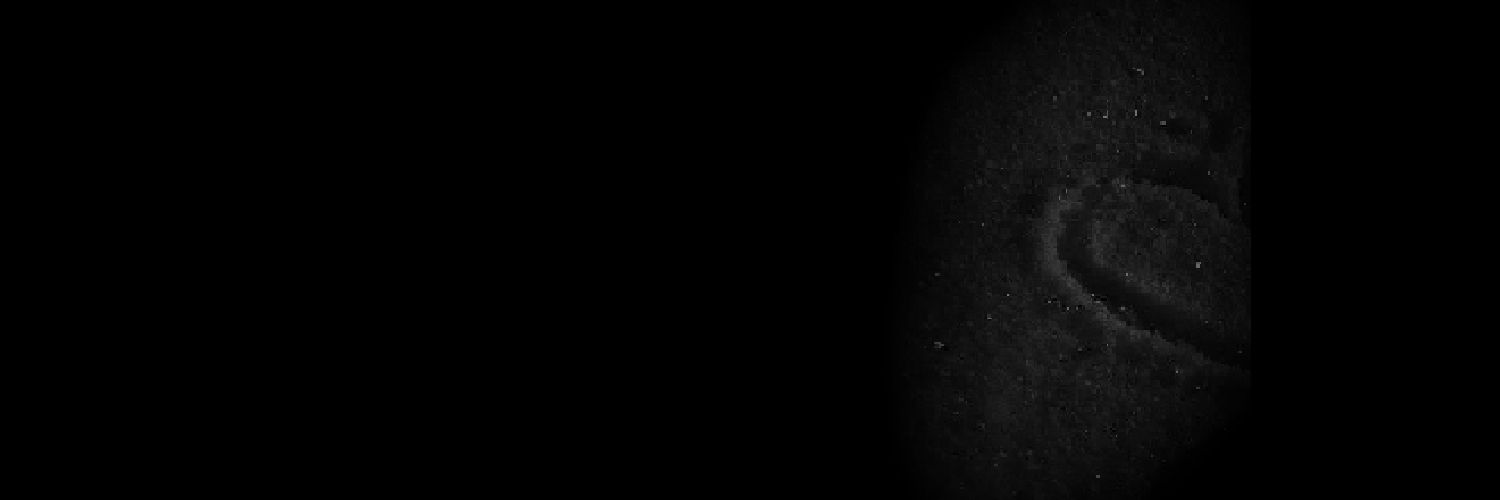 乙 banner