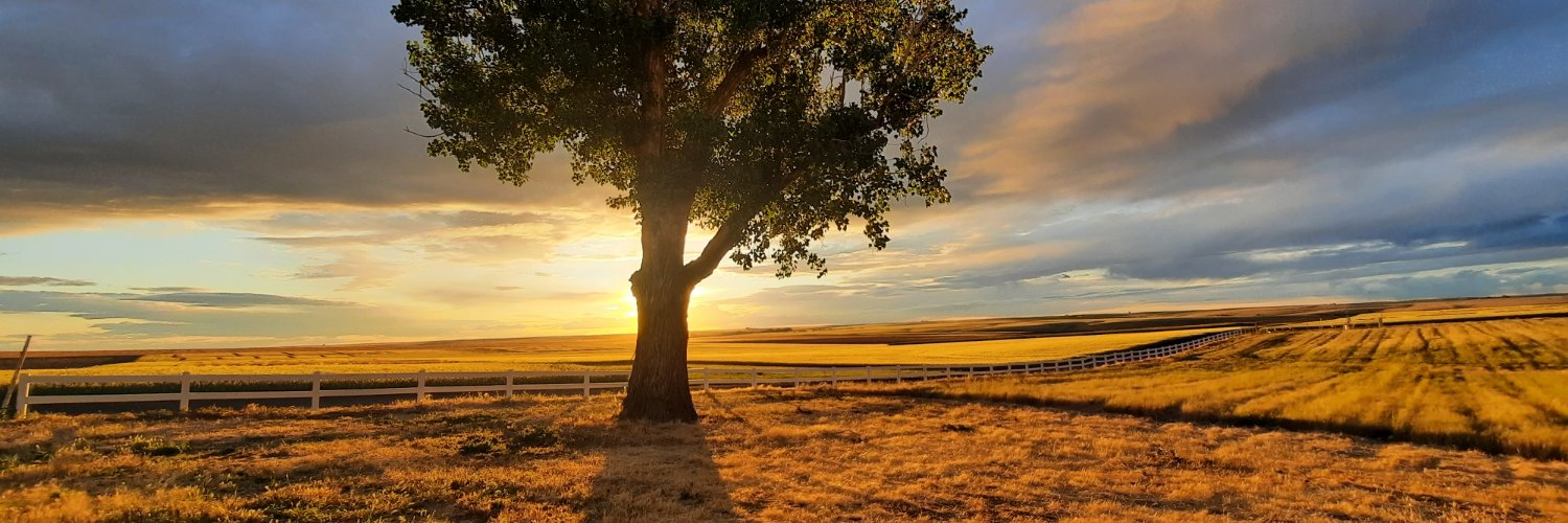 Fernando Oreja banner