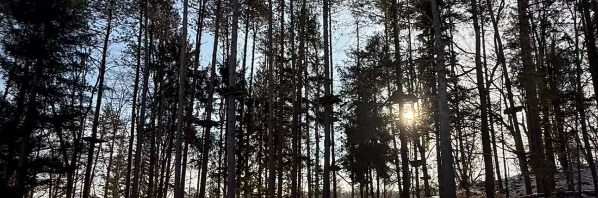 lowground6 banner