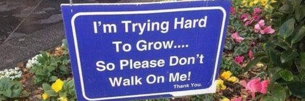 sanzew002 Profile Banner