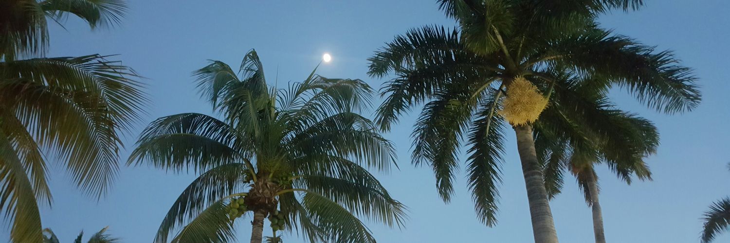 JessieLayneWard's profile banner image