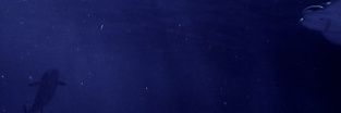 えう banner