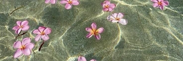 natsu kelompok 8 banner