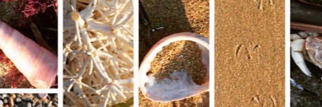 turnereducation's profile banner image