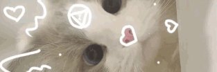 progamer_rl's profile banner image